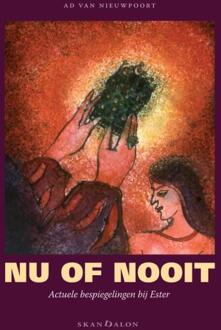 Nu of nooit - Boek Ad van Nieuwpoort (9492183625)