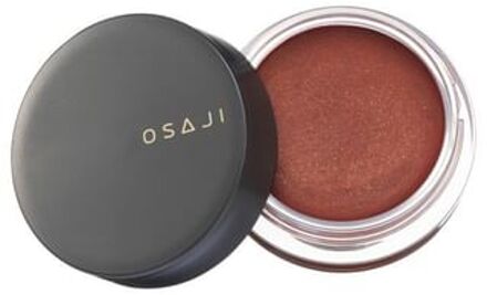 Nuance Face Color 02 Kakushin