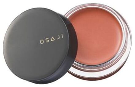 Nuance Face Color 04 Akebono