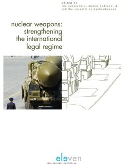 Nuclear weapons - Boek Boom uitgevers Den Haag (9462366071)