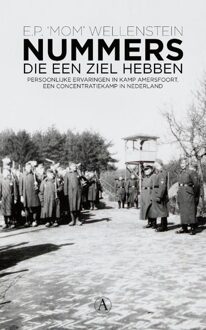 Nummers die een ziel hebben - eBook E.P. Mom Wellenstein (9025370497)