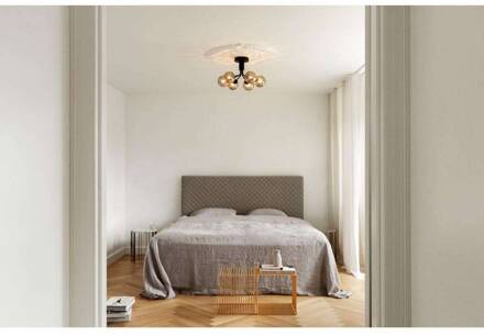 Nuura plafondlamp Apiales 6, zwart/rookgrijs, Ø 50 cm zwart gesatineerd, rookgrijs