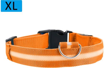 Nylon Led Huisdier Halsband Honden Lichtgevende Fluorescerende Halsbanden Night Veiligheid Flashing Glow Kraag In De Dark Dierbenodigdheden oranje