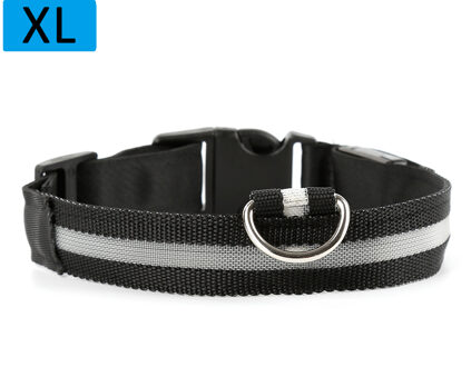 Nylon Led Huisdier Halsband Honden Lichtgevende Fluorescerende Halsbanden Night Veiligheid Flashing Glow Kraag In De Dark Dierbenodigdheden zwart