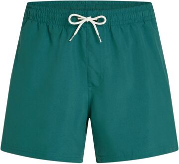 O'Neill Beach 15" Zwembroek Groen - M