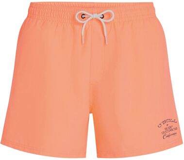 O'Neill Beach 15" Zwemshort Heren - M