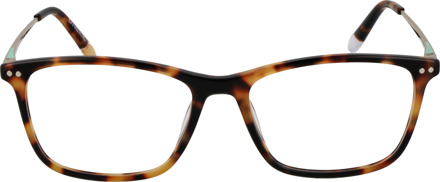 O'Neill Brilframe ONB-4024 102 52 Bruin - One Size