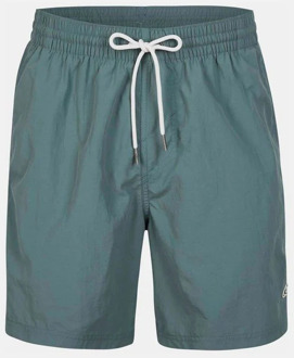 O'Neill PM Vert Shorts Blauw