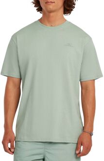 O'Neill Small Logo T-shirt Heren