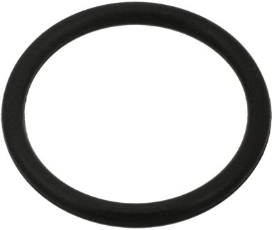 O-ring 100999