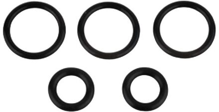 O-ring, 17 x 22 x 2,5/10 x 16 x 3 mm, voor GROHE-Euromix-patroon (5x) - 98696930