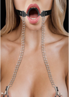O-Ring Ballgag met Tepelklemmen