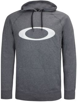 Oakley Pullover Lange Mouw Grafisch Logo Grijs Heren Sarge Hoodie 472391AU 24G Lichtgrijs