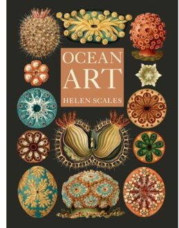 Ocean Art - Helen Scales