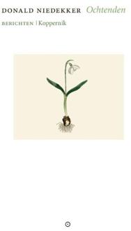 Ochtenden - Donald Niedekker