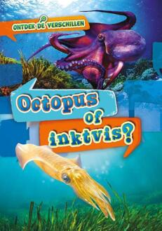Octopus Of Inktvis? - Ontdek De Verschillen - Christina Leaf
