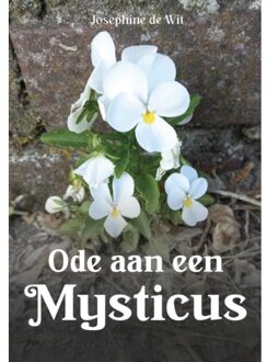 Ode Aan Een Mysticus - Josephine de Wit