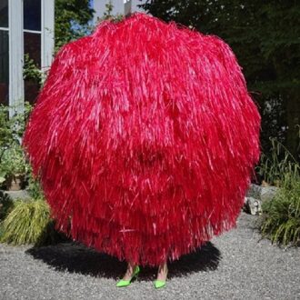 Ode - Stephan Eicher