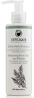 Odylique Gentle Herb Shampoo 200ml