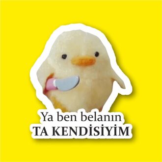 Of Ben Affliction Ta Kendisiyim Laptop En Telefoon Sticker-Decal Max.8cm