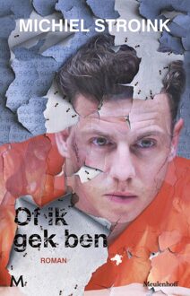 Of ik gek ben - eBook Michiel Stroink (9460231667)