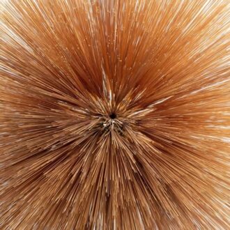 Of The Near And Far - Patricia Brennan