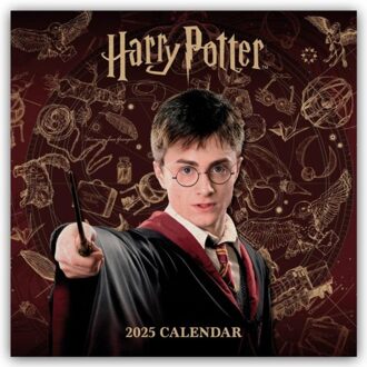 Official Harry Potter Square Calendar 2025 - Browntrout Wandkalender - Danilo Promotion Ltd