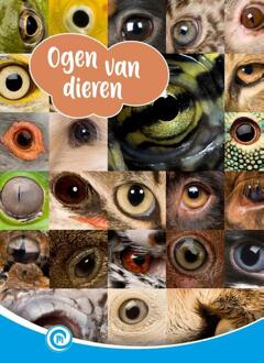 Ogen van dieren -  Ditte Merle (ISBN: 9789464394344)