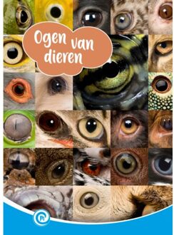 Ogen Van Dieren - Mini Informatie - Ditte Merle