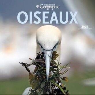 Oiseaux 2025 Square French Wyman