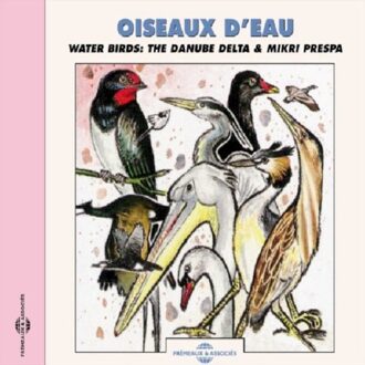 Oiseaux D'Eau. Le Concert Des Oiseaux - Sons De La Nature