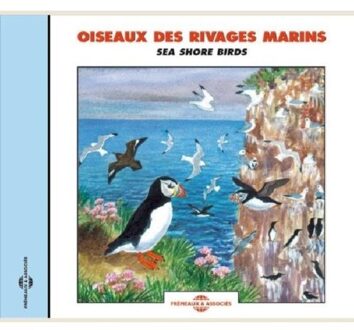 Oiseaux Des Rivages Marins - Sea Shore Birds - Sons De La Nature