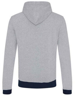 Okavango sustainable hoodie voor volwassenen Grijs - M