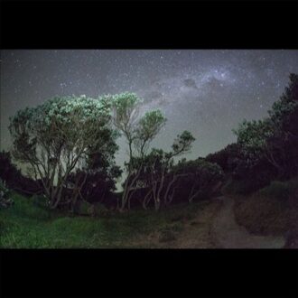 Older Terrors -Gatefold- (LP)