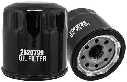 Olie Filter 2520799 3084963 Voor Polaris Motor 2stk