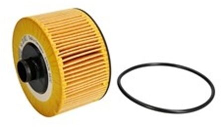 Oliefilter Eco HU10002z