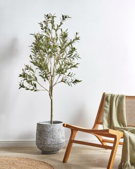 OLIVE TREE - Kunstplant - Groen - 153 cm - Synthetisch