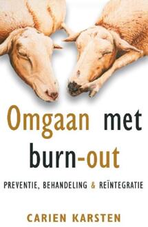 Omgaan met burn-out - Boek Carien Karsten (9021551861)