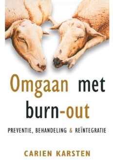Omgaan met burn-out - Boek Carien Karsten (9021551861)