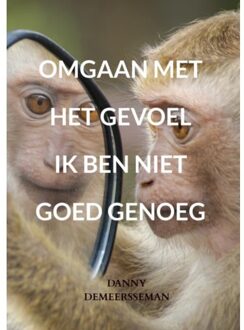 Omgaan Met Het Gevoel Ik Ben Niet Goed Genoeg - Danny Demeersseman