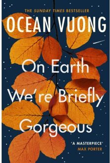 On Earth We're Briefly Gorgeous - Ocean Vuong