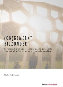 (On)gemerkt bijzonder - Boek Sheila Adjiembaks (9462368627)