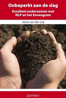 Onbeperkt aan de slag - Boek Joost van der Leij (9460510086)