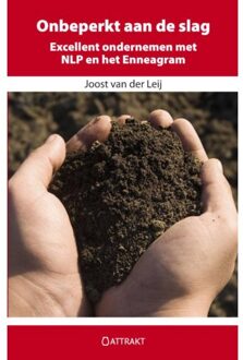 Onbeperkt aan de slag - Boek Joost van der Leij (9460510086)