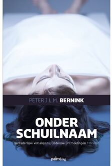 Onder Schuilnaam - Peter Bernink