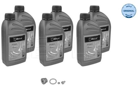 Onderd.set, olie verversen van automatische versnellingsbak 5141350002