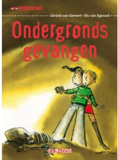 Ondergronds gevangen - Boek Gerard van Gemert (905300372X)
