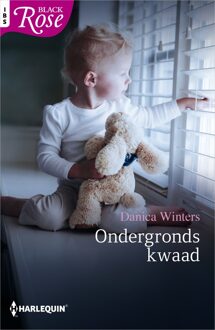 Ondergronds kwaad - eBook Danica Winters (9402529470)