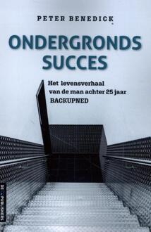Ondergronds succes - (ISBN:9789462961845)