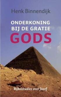 Onderkoning bij de gratie Gods - Boek Henk Binnendijk (9029796472)